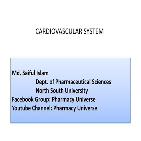 Cardiovascular system (blood vessels, anatomy) 