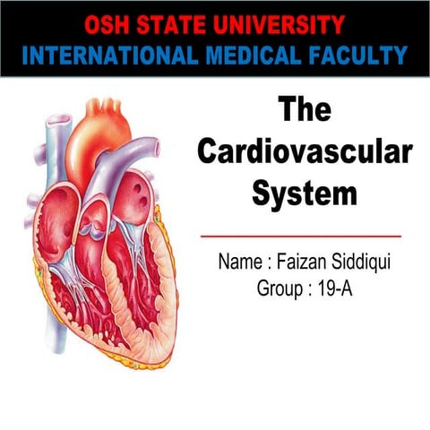 Fa1zanS: Cardiovascular system basics and Summary (Easily illustrated) 
