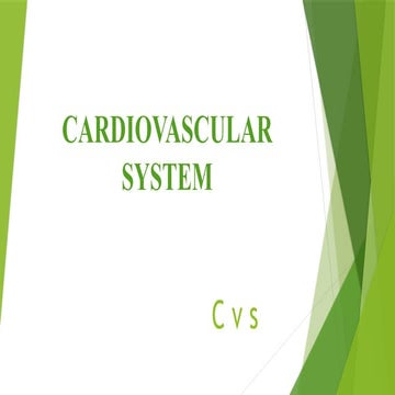 CARDIOVASCULAR SYSTEM. MUHIMBILI hospital