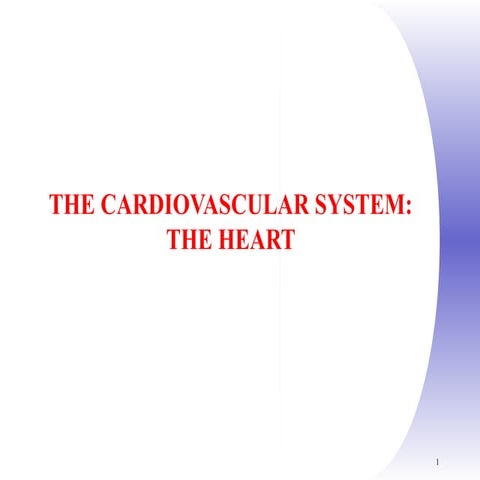 cardiovascular system and heart structure of heart