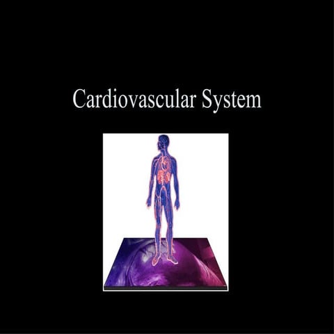 Cardiovascular System Notes