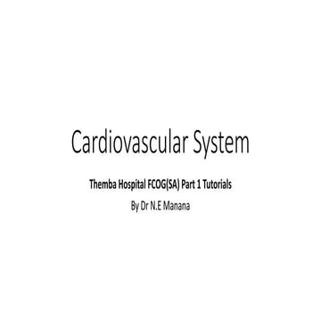 Cardiovascular system physiology