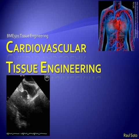 Cardiovascular Tissue Engineering