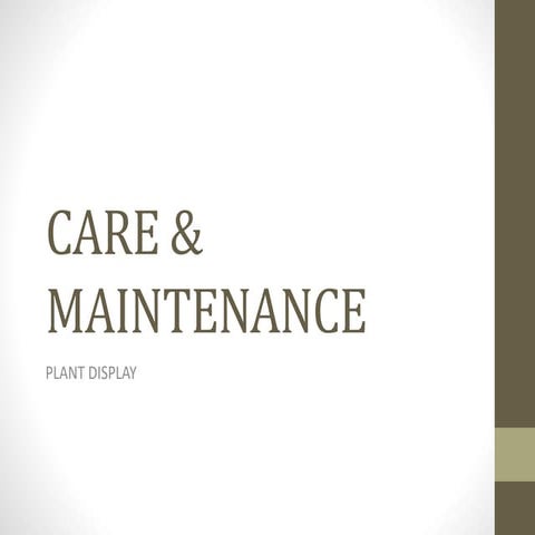 CARE AND MAINTENANCE.pptx