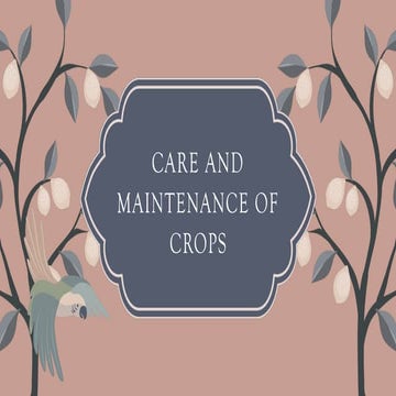 Care and maintenance powerpoint presentation