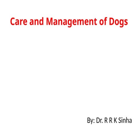 Care_and_management. _of_dogs.pptx