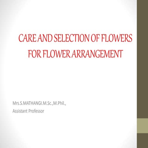 Care and selection of flowers for flower arrangement