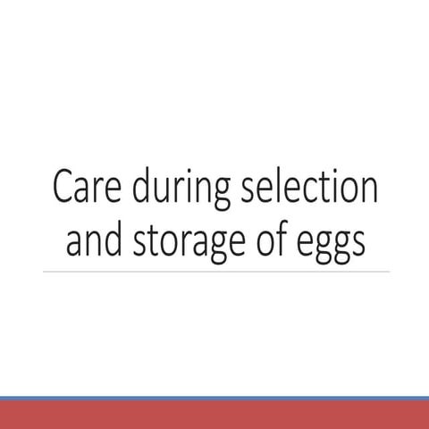 Care during selection and storage of eggs