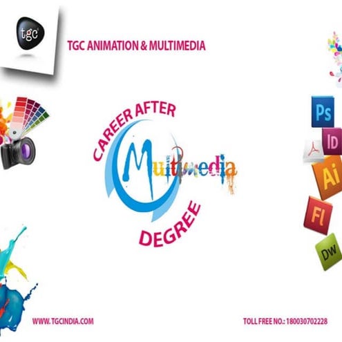 Career after multimedia degree