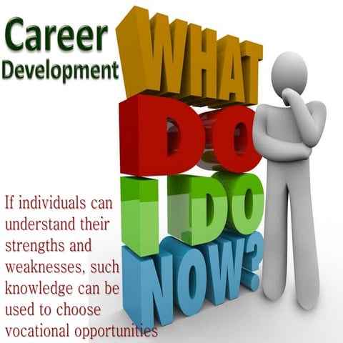 Career development history