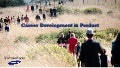 Career development in software product development and management