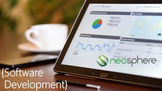 Career Development in Programming Sector | PPT