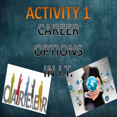 Career Options In I.T.