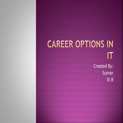 Career options in it