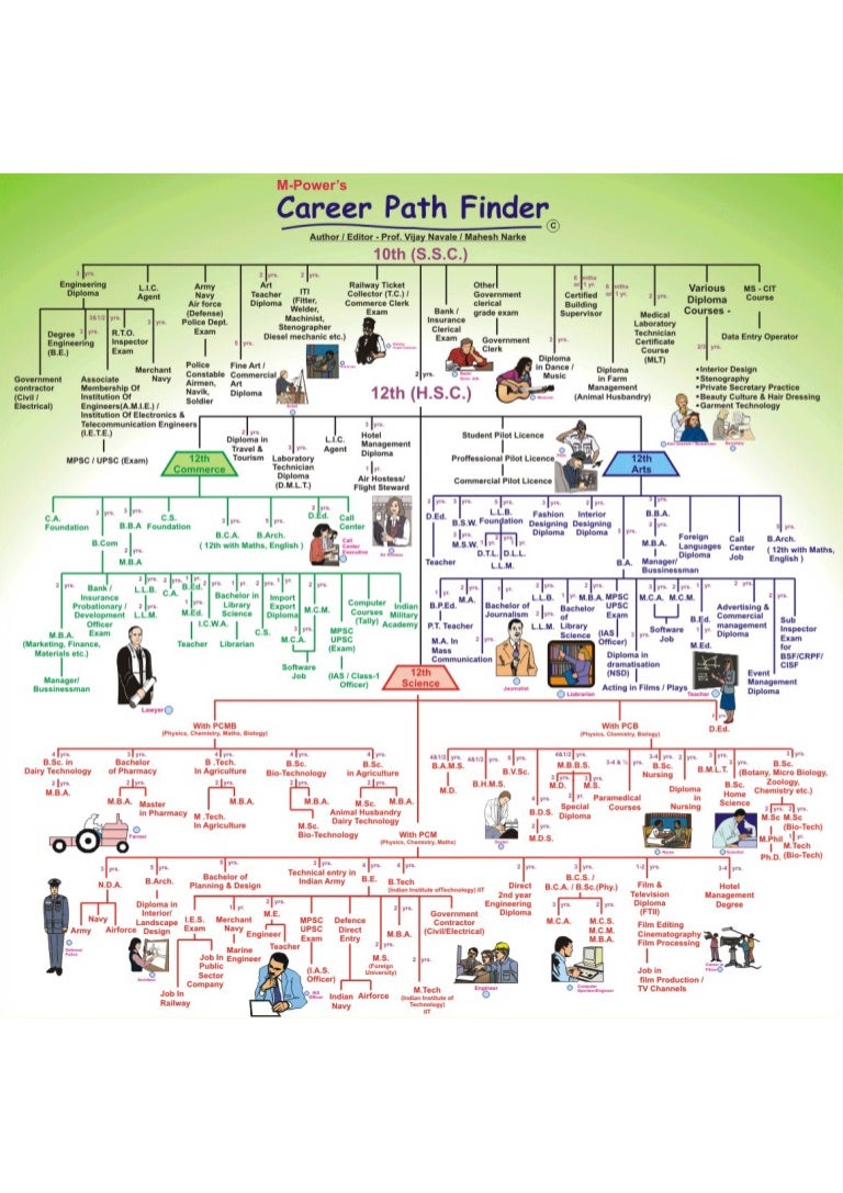 career path finder chart