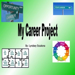 Career project