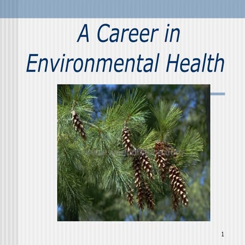 Careers in Environmental Health | PPT