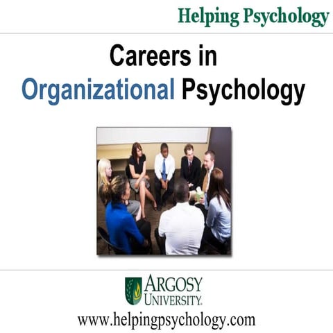 Careers in Organizational Psychology