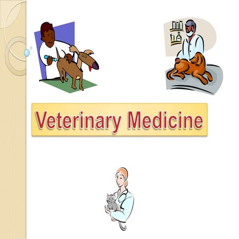 Careers in veterinary medicine