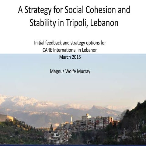 A strategy for social stability in Tripoli, Lebanon (CARE International)