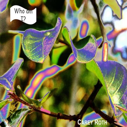 Carey roth who am i pp