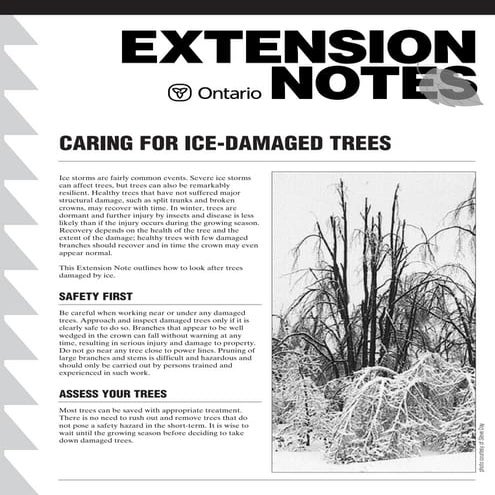 EXTRACTION OF RESIN AND LANATANA ERADICATION | PPTX