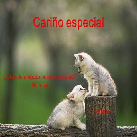 Cariño Especial