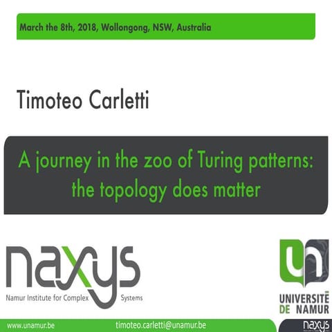 SMART Seminar Series: "A journey in the zoo of Turing patterns: the topology does matter". Presented by Prof. Timoteo Carletti