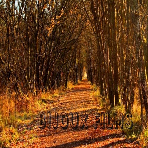 Carley presentation for pitch