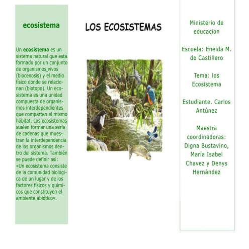 Ecosistemas | PPTX