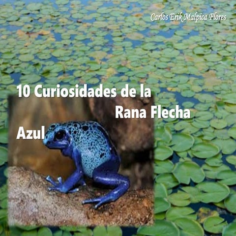 Carlos Erik Malpica Flores - 10 Curiosidades de la Rana Flecha Azul | PPTX