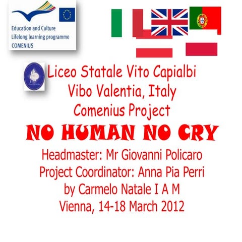 Carmelo natale solar energy