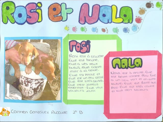 Carmen González Alcaide 2º b