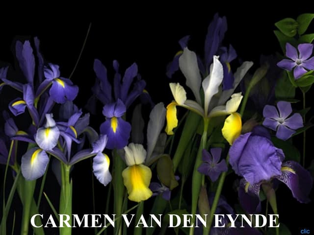 Carmen Van Den Eynde