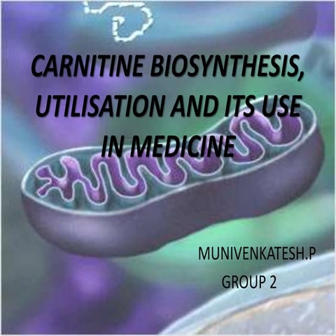 l carnitine kafein The Benefits of Adding L-Carnitine to Your Black Coffee  Bella All Natural