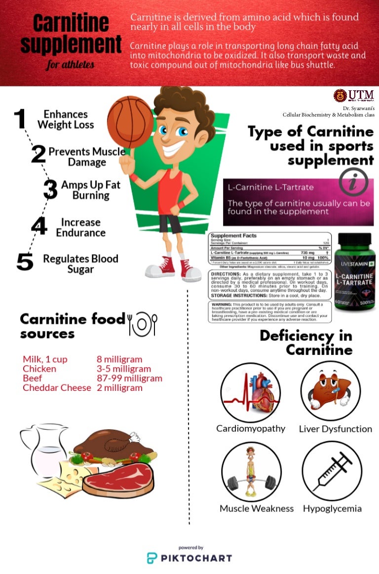 Infographic Carnitine supplement fo athletes