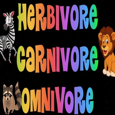 Carnivore omnivore herbivore