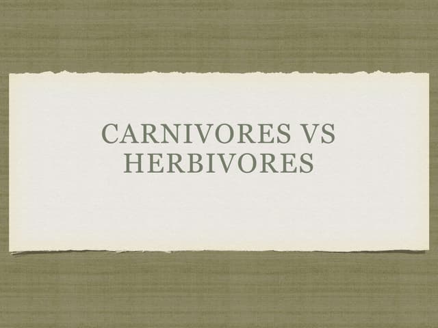 Carnivores vs herbivores | PPT