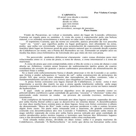 Violeta Corujo: Carnota