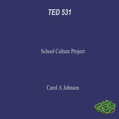 Carol A Johnson Culture