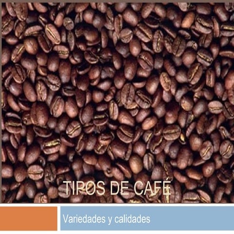 Tipos de cafe