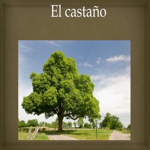 El Castaño | PPTX