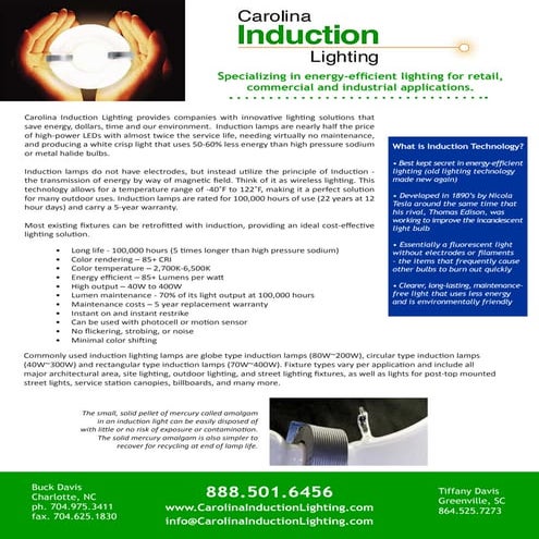 Carolina Induction Flyer