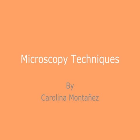 Carolina montanez mt