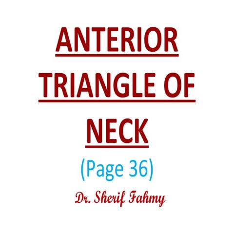 Carotid Triangle (Anatomy of the Neck)