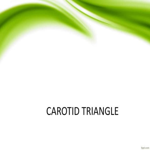 Carotid Triangle (Anatomy of the Neck) | PPS