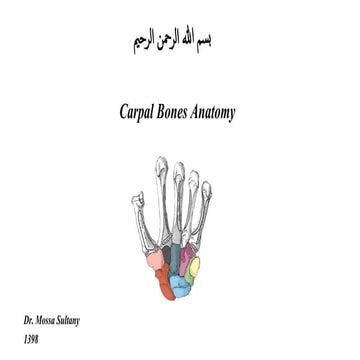 Carpal bones antomy
