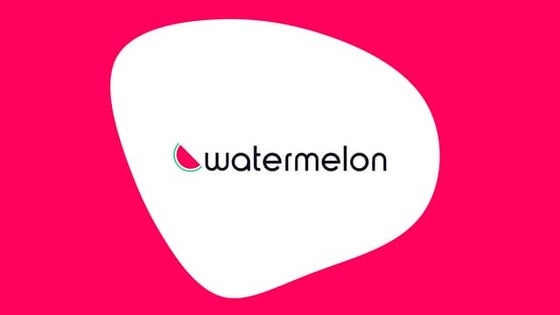 Car Park Management System At Watermelon Parking.pptx