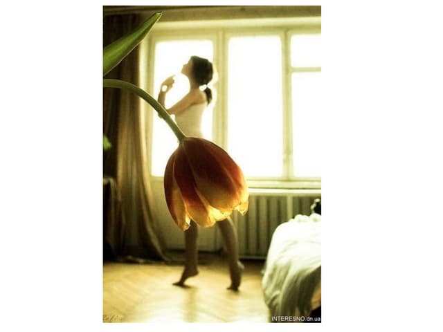Carpe Diem