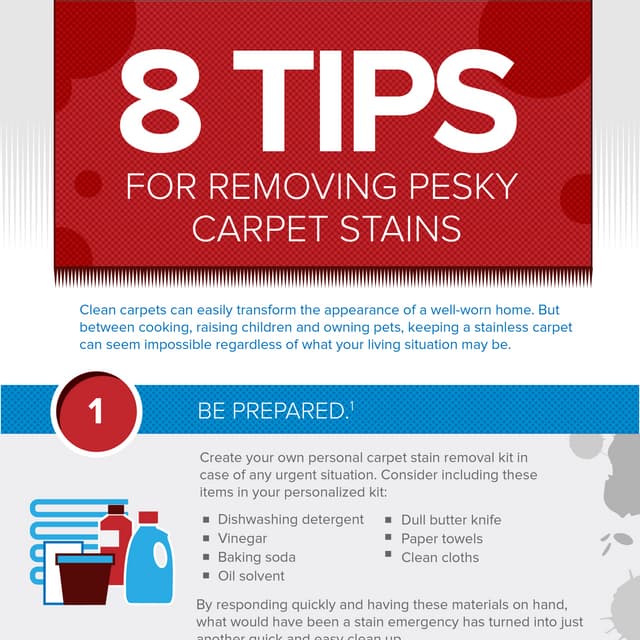 How to Get Stains Out of Carpet Infographic | PDF